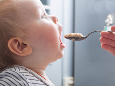 neonato pappa omogeneizzato