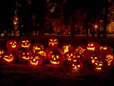 Zucche Halloween