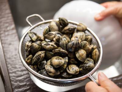 spurgare vongole
