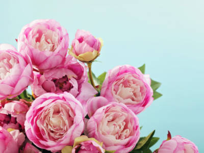 bouquet mazzo fiori rosa peonie