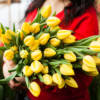 tulipani fiori bouquet