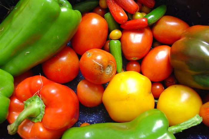 DIETA LONGEVITÀ