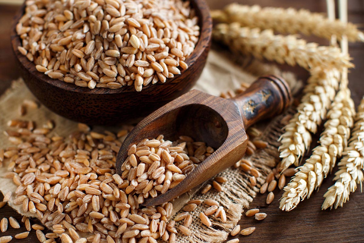 Farro