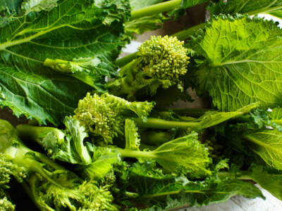 cime di rapa