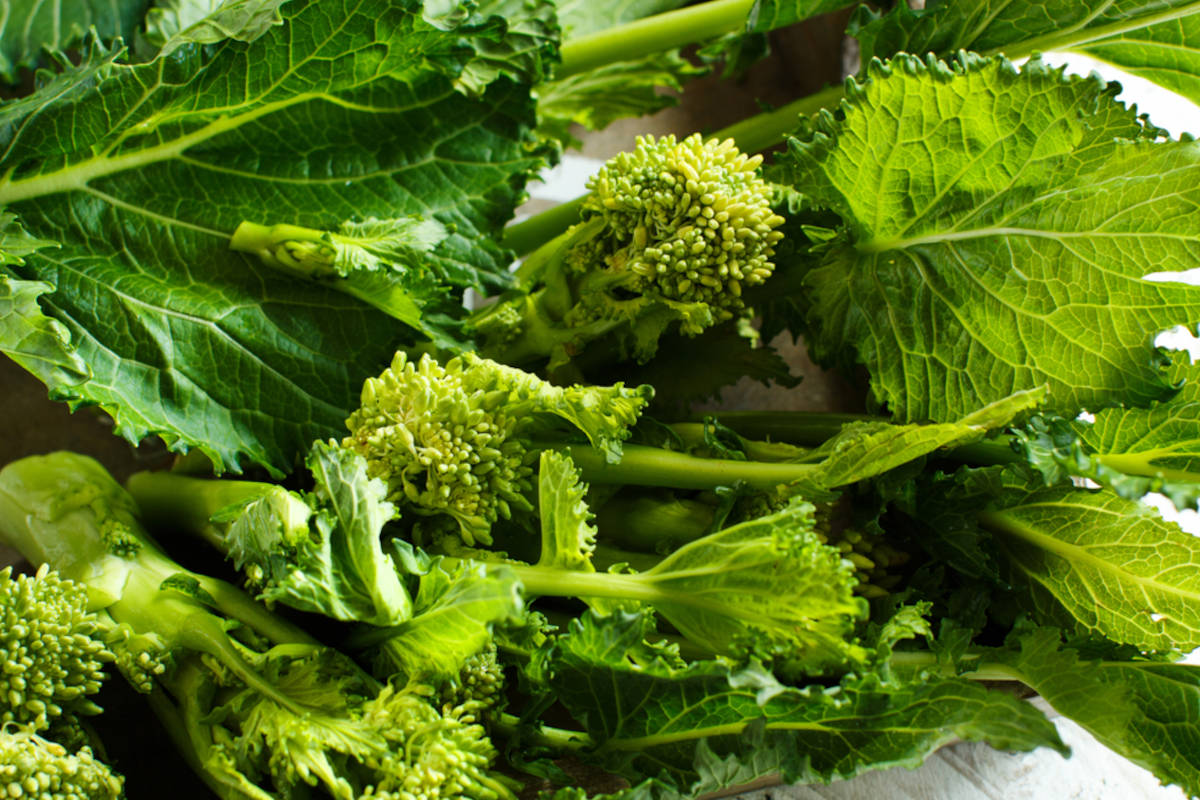 cime di rapa