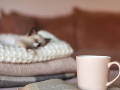 Libri per l'inverno