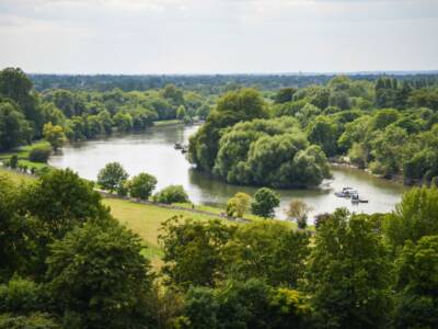 Richmond park Wimbledon