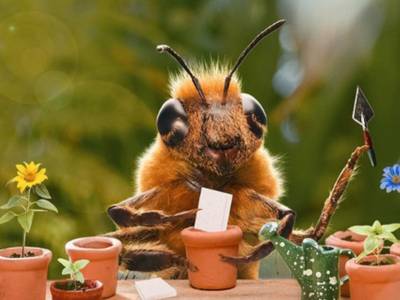 Bee influnecer