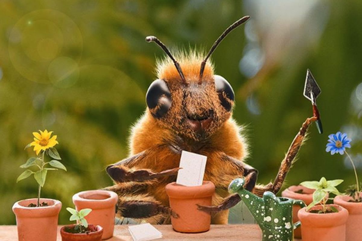 Bee influnecer