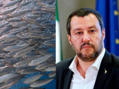 Sardine Matteo Salvini
