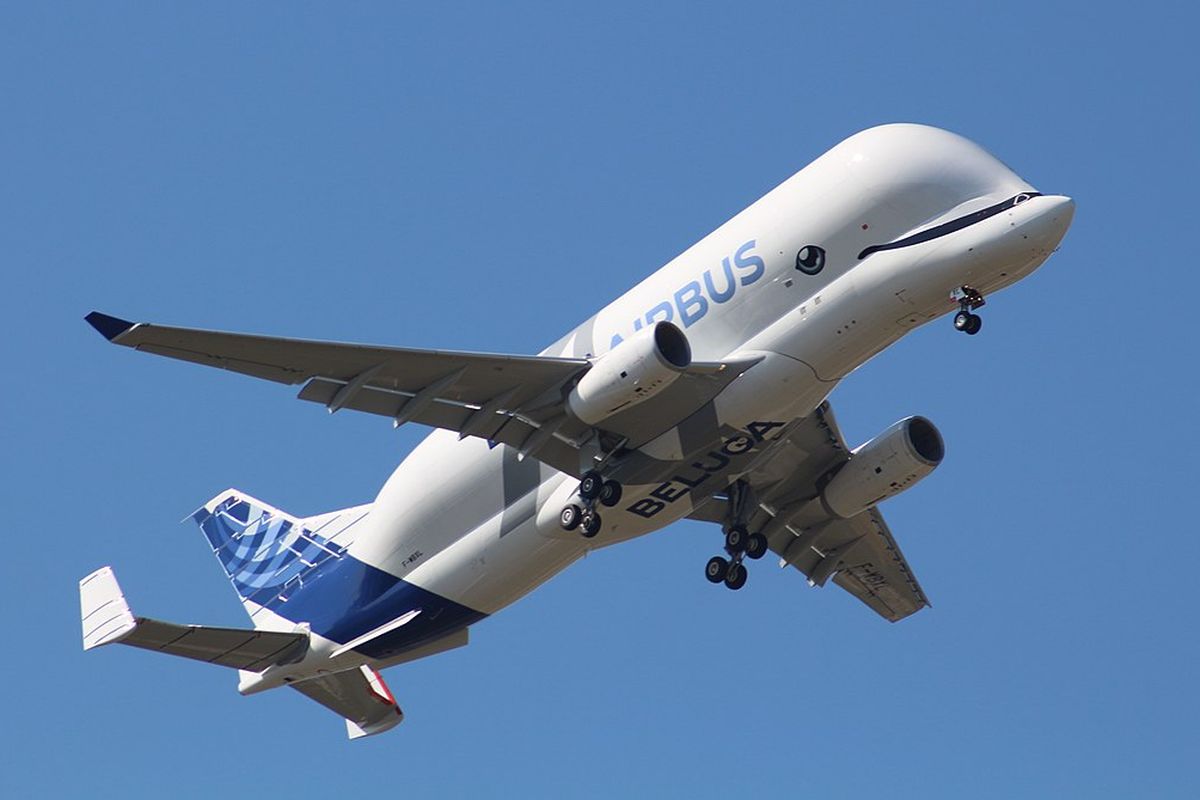 Beluga XL