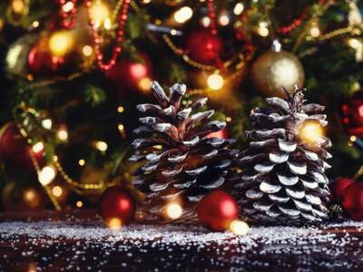 Lavoretti pigne albero di Natale