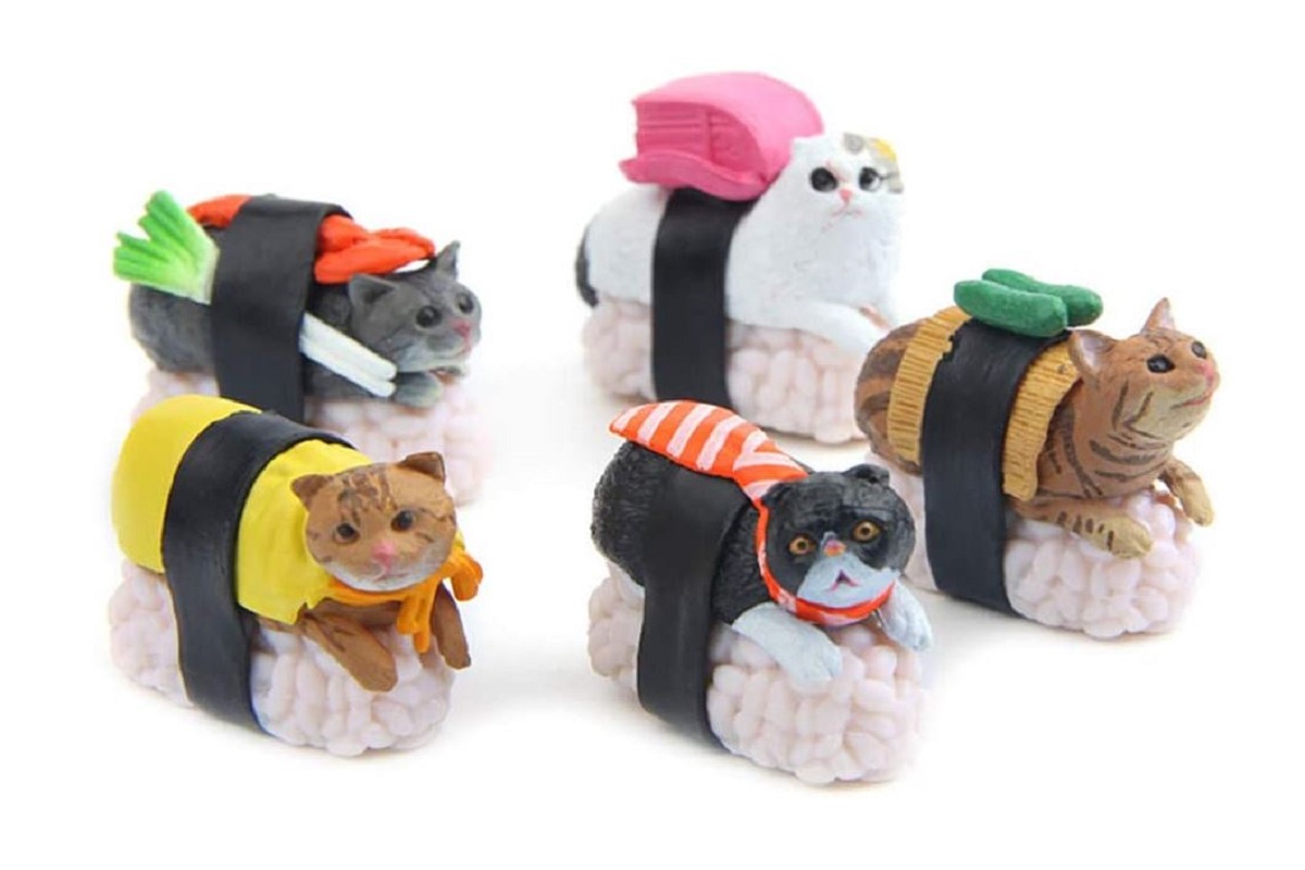 Sushi cat
