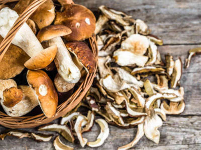 funghi