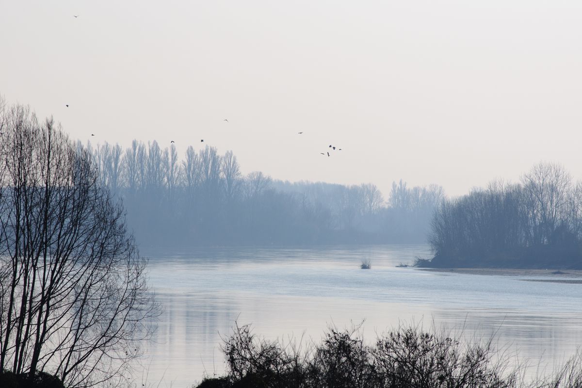 Fiume Po