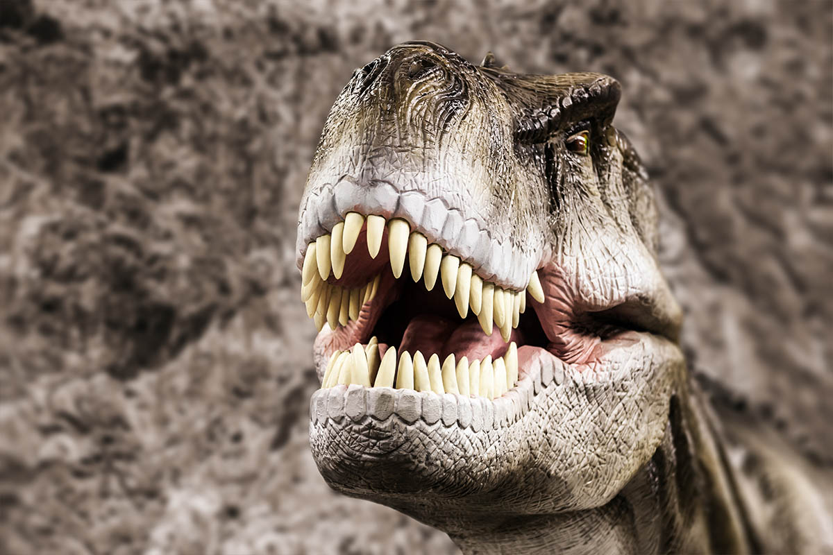 Tyrannosaurus Rex, dinosauro