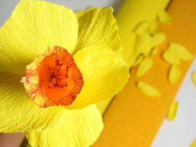 fiore carta crespa