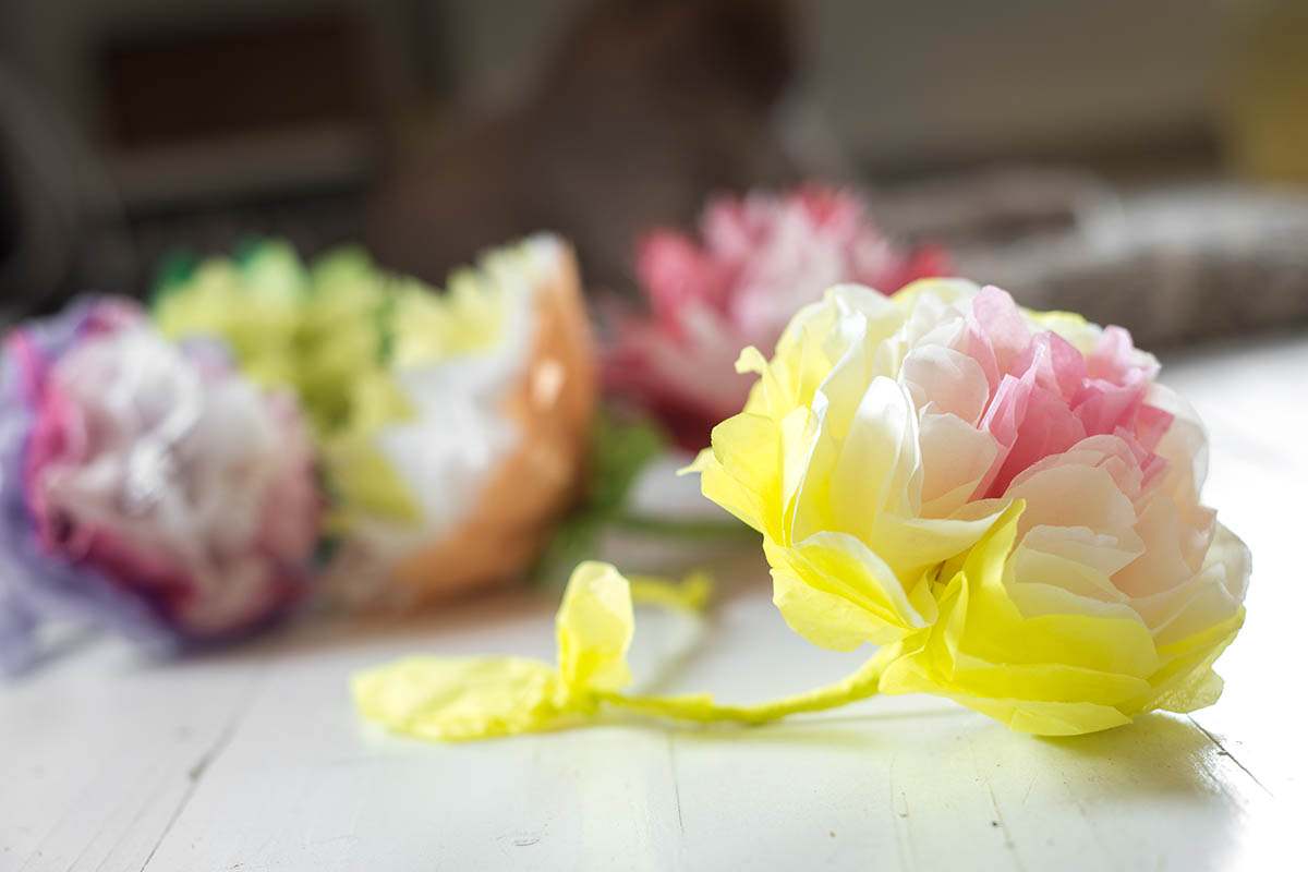 fiori di carta