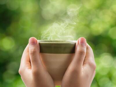 tazza tisana