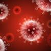 virus covid