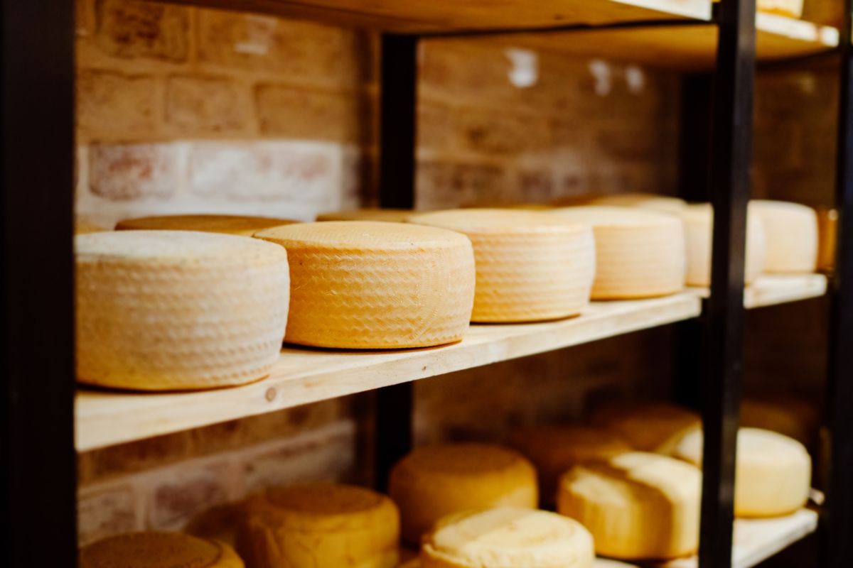 forme parmigiano reggiano grana padano stagionatura
