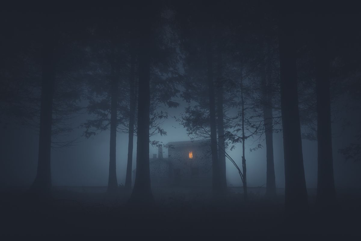 casa bosco notte nebbia paura