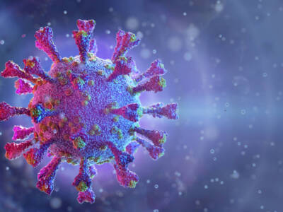 Coronavirus