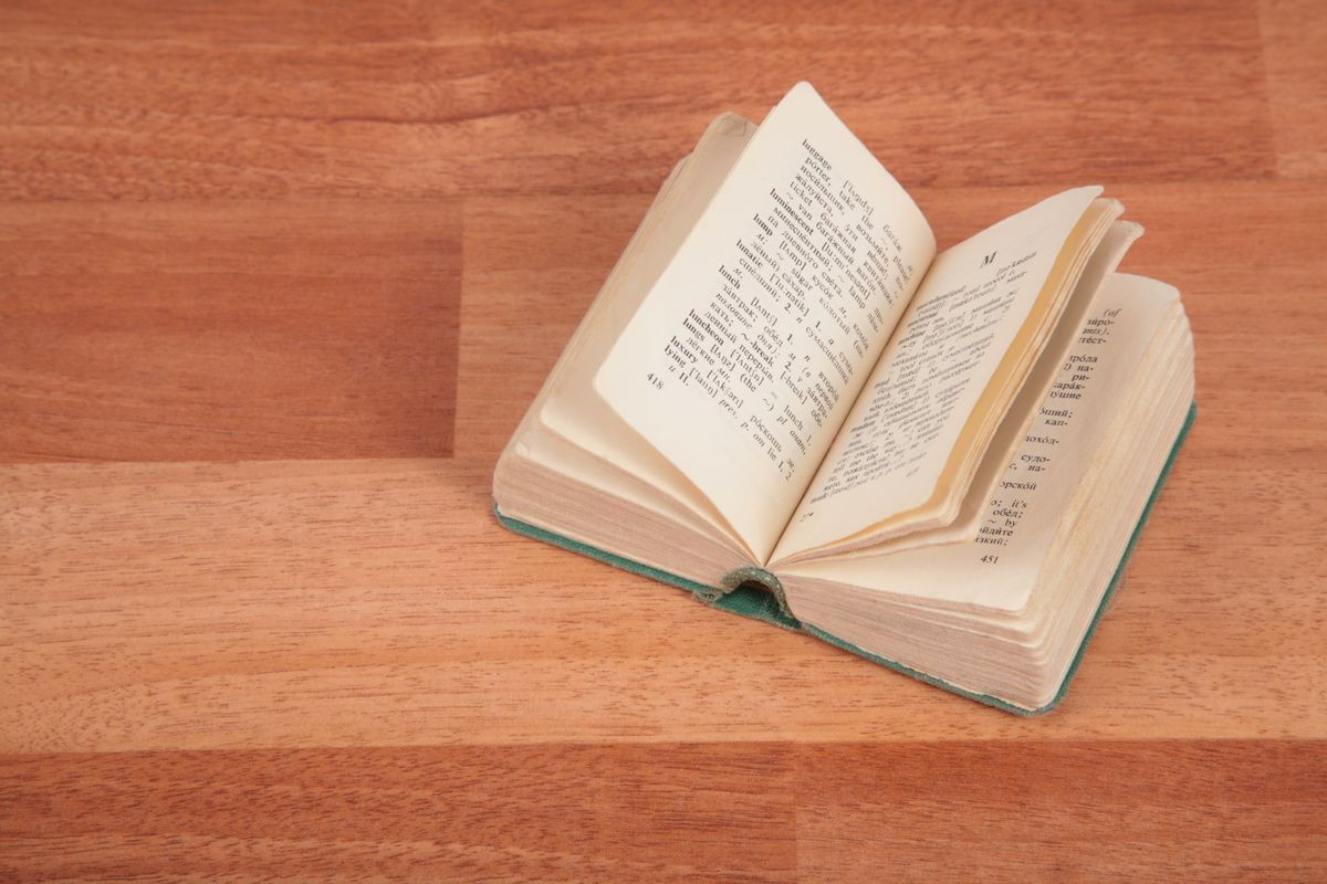 libro aperto fogli pagine