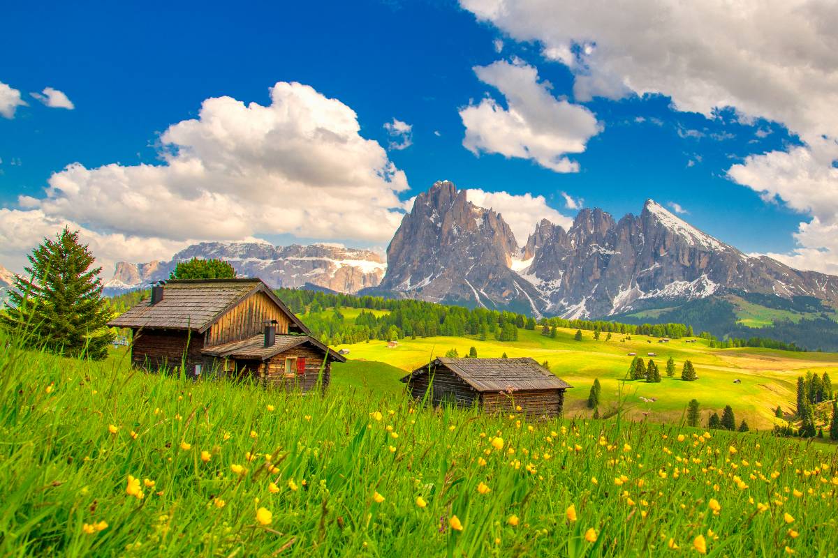 Panorama montano dell'Alpe di Siusi, Trentino Alto Adige