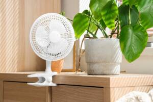 Un ventilatore bianco accanto a una pianta in vaso